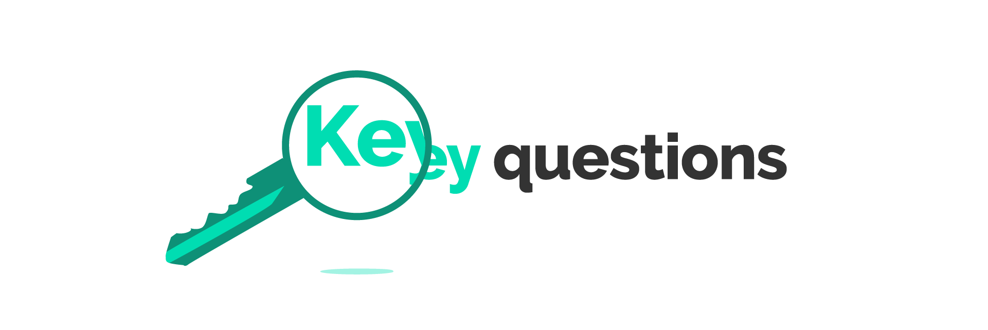 key_questions